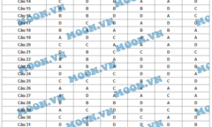 Đáp án môn Sinh học mã đề 268 tốt nghiệp THPT quốc gia năm 2015